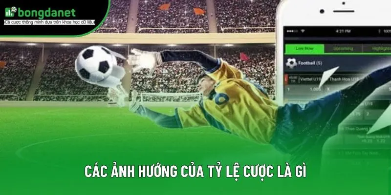 Các ảnh hướng của tỷ lệ cược là gì