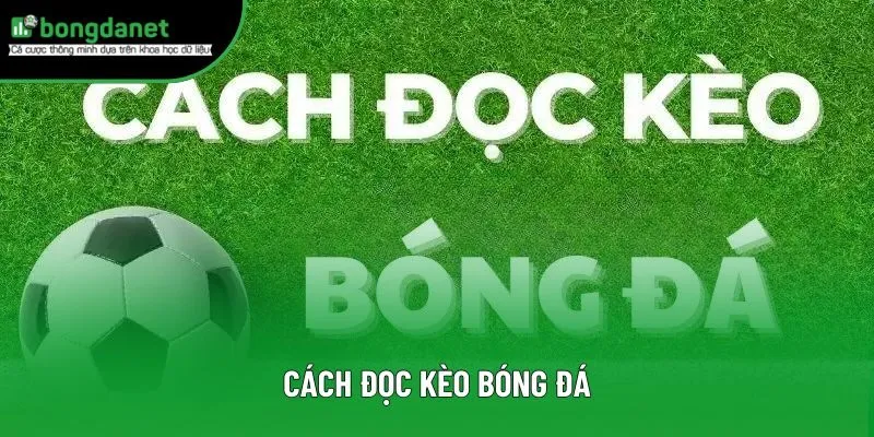 Cách Đọc Kèo Bóng Đá - Mẹo Soi Kèo Chuẩn Xác Cho Cược Thủ