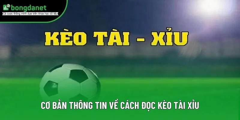 Cơ bản thông tin về cách đọc kèo tài xỉu Cơ bản thông tin về cách đọc kèo tài xỉu
