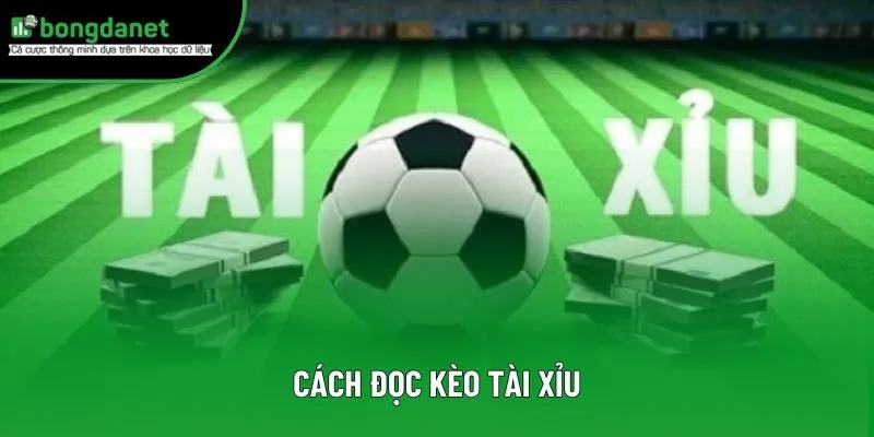 Cách Đọc Kèo Tài Xỉu - Kinh Nghiệm Nhận Biết Tỷ Lệ Thắng Cao