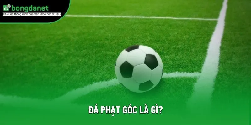 Khái niệm đá phạt góc là gì? Khái niệm đá phạt góc là gì?
