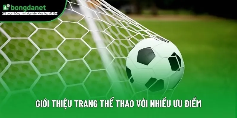 Giới thiệu trang thể thao với nhiều ưu điểm Giới thiệu trang thể thao với nhiều ưu điểm