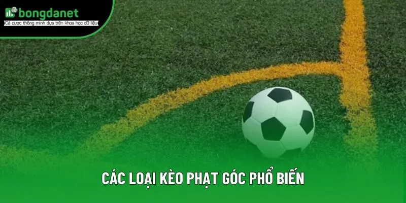 Các loại kèo phạt góc phổ biến Các loại kèo phạt góc phổ biến