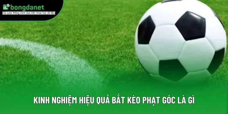 Kinh nghiệm hiệu quả bắt kèo phạt góc là gì Kinh nghiệm hiệu quả bắt kèo phạt góc là gì