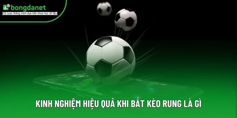 Kinh nghiệm hiệu quả khi bắt kèo rung là gì