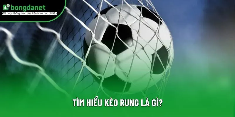 Tìm hiểu kèo rung là gì?