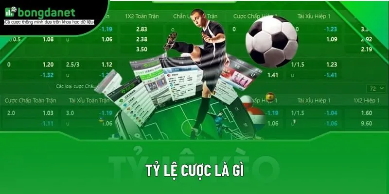 Tỷ Lệ Cược Là Gì: Cách Tính Toán Để Thắng Lớn Trong Cá Cược